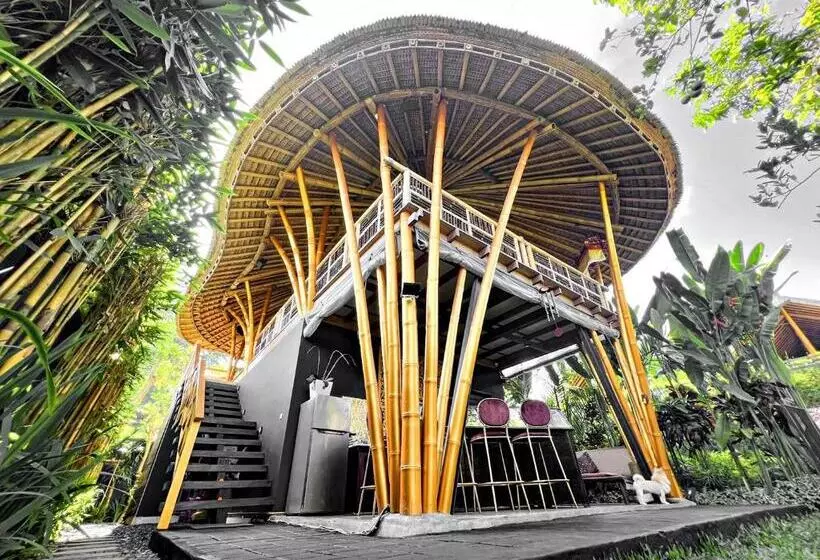 Aamiaismajoitus (B&B) Joyously Raw Villas