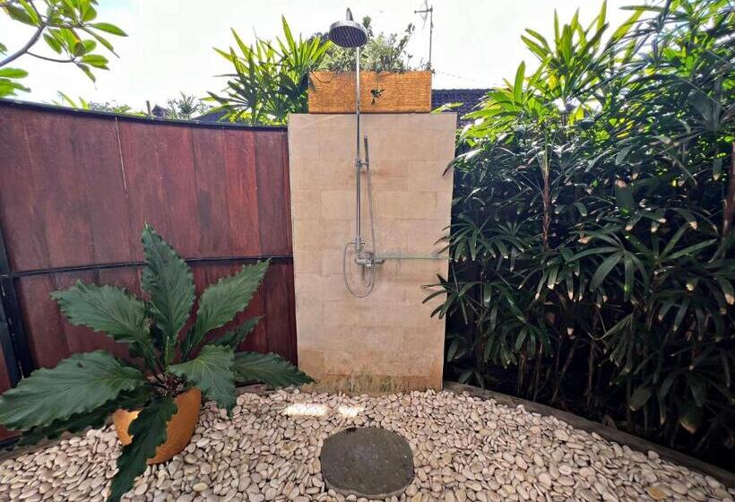 住宿加早餐  Joyously Raw Villas