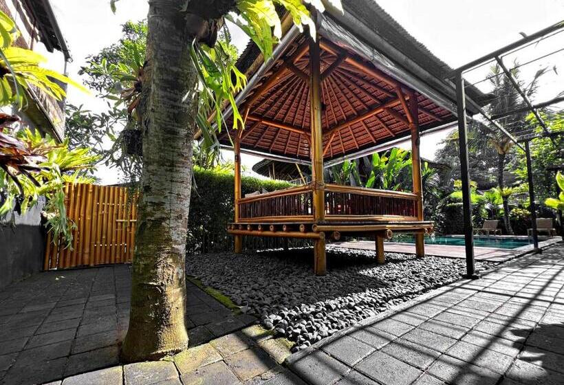 住宿加早餐  Joyously Raw Villas