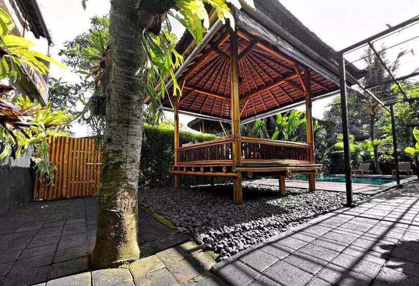 Aamiaismajoitus (B&B) Joyously Raw Villas