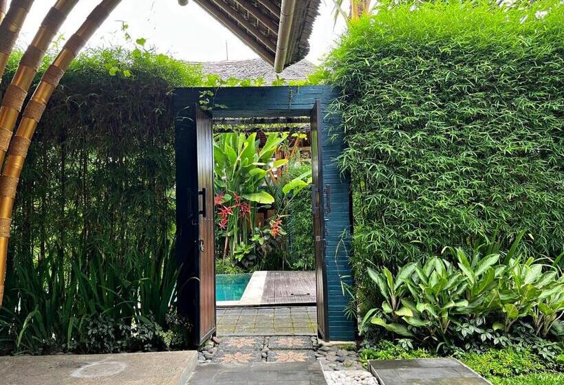 住宿加早餐  Joyously Raw Villas