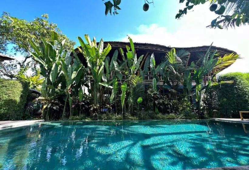 Aamiaismajoitus (B&B) Joyously Raw Villas