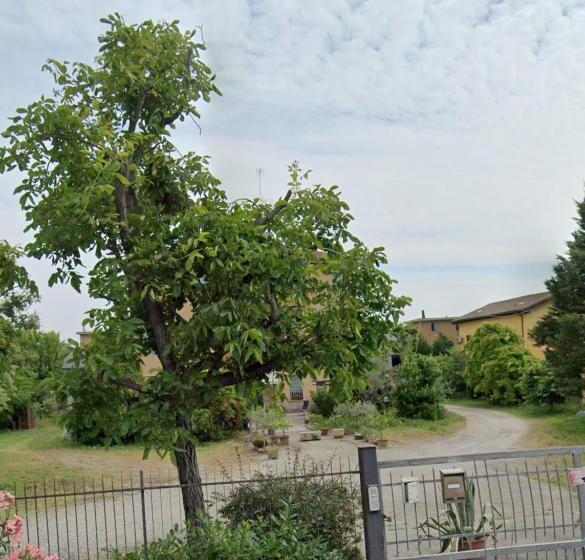 تختخواب و صبحانه Viaemilia