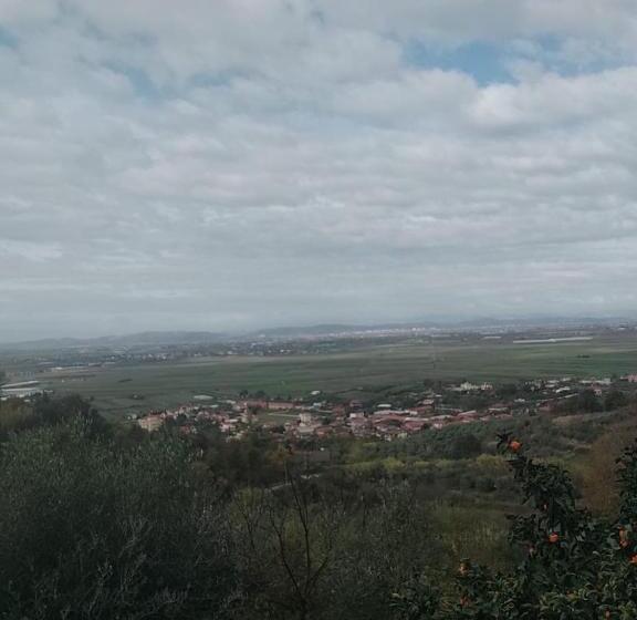 ホテル Mille Una Notte Ardenice