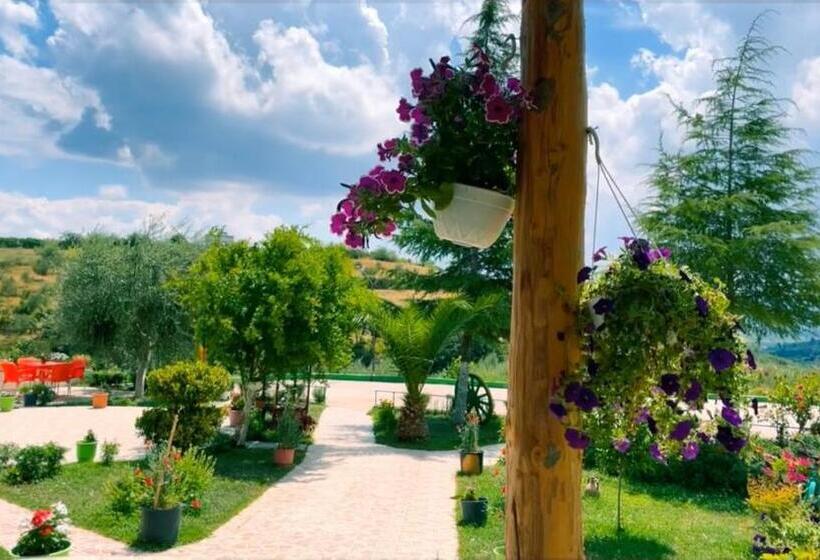 ホテル Mille Una Notte Ardenice