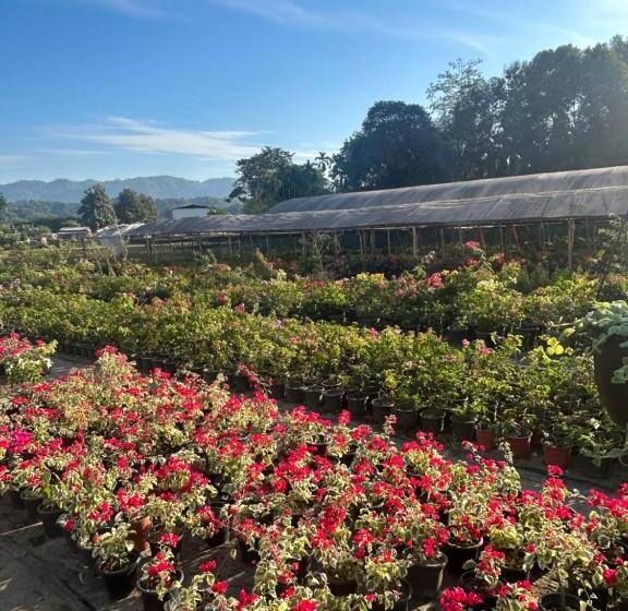 Hotel Secret Solitudes