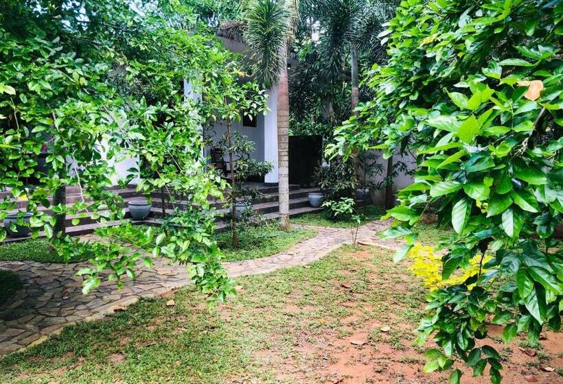 بنسيون Camellia Villa & Tour