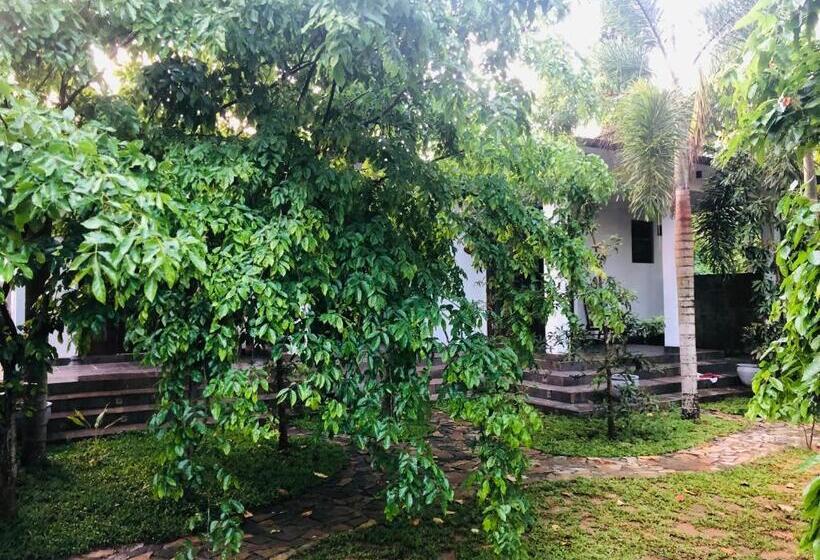 بنسيون Camellia Villa & Tour