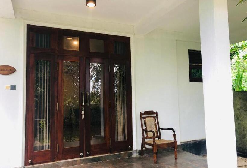 بنسيون Camellia Villa & Tour