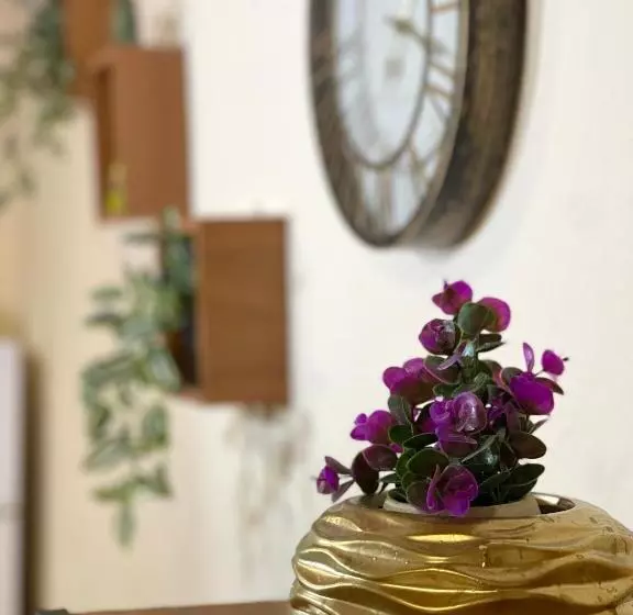 پانسیون Shkodra Guest House