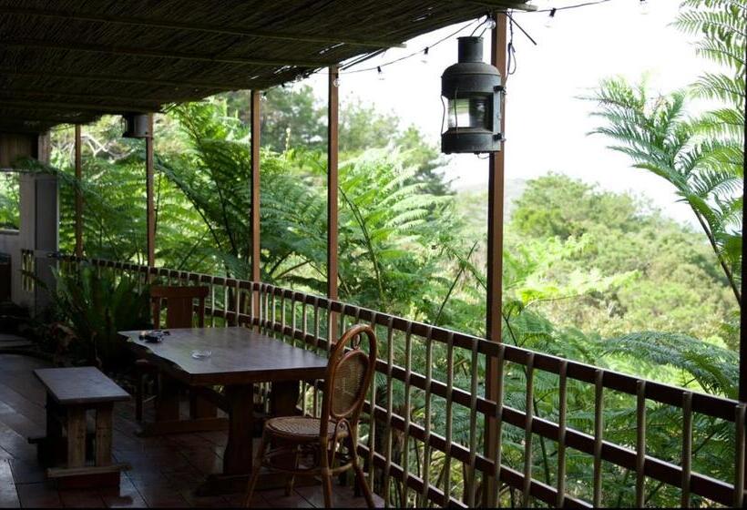 Pensão Starlight Hostel Endeavour