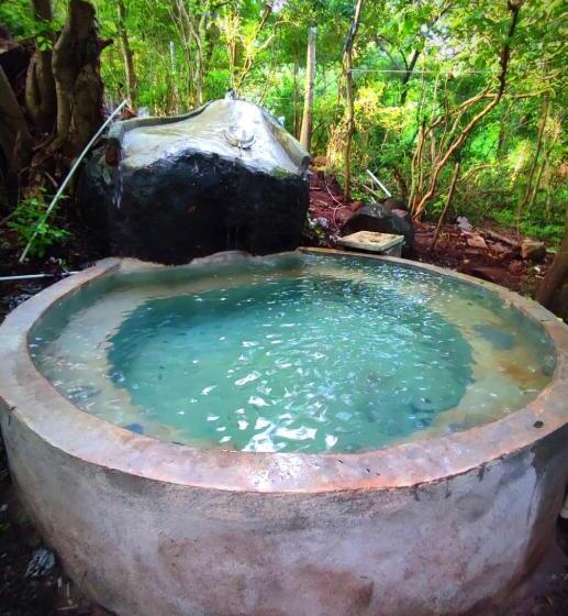 هاستل Raindance