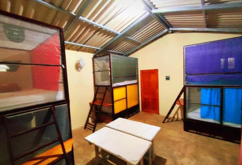 هاستل Raindance