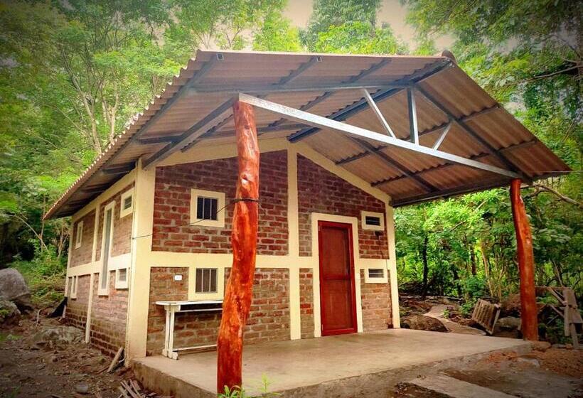 هاستل Raindance