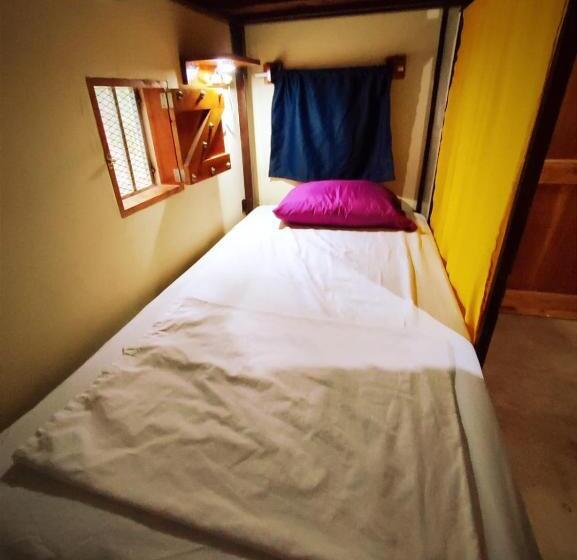 هاستل Raindance