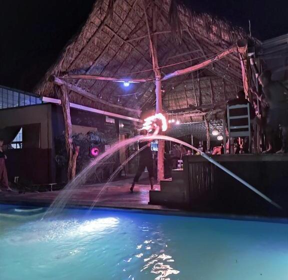 هاستل Raindance