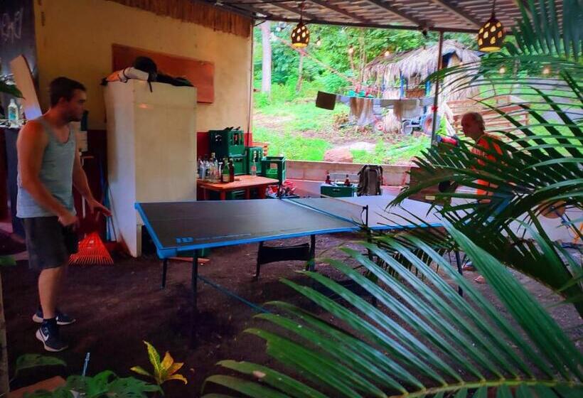 هاستل Raindance