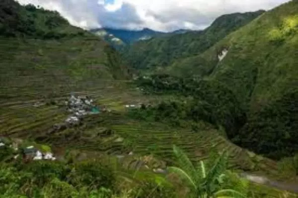 ベッドアンドブレックファースト Coree Bed And Free Breakfast And Ifugao Hospitality