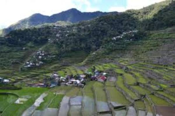 Bed and Breakfast Coree Bed And Free Breakfast And Ifugao Hospitality