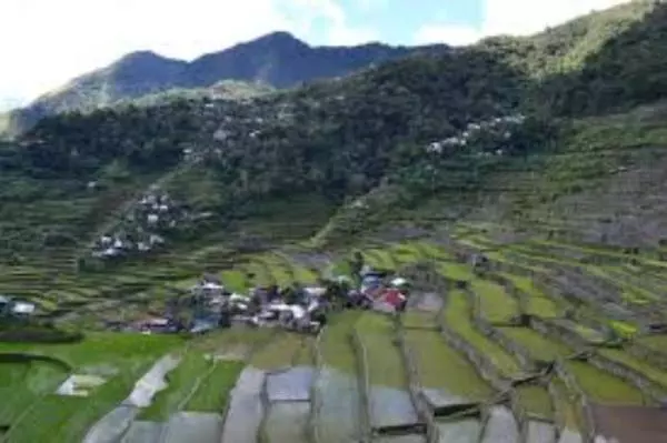 ベッドアンドブレックファースト Coree Bed And Free Breakfast And Ifugao Hospitality