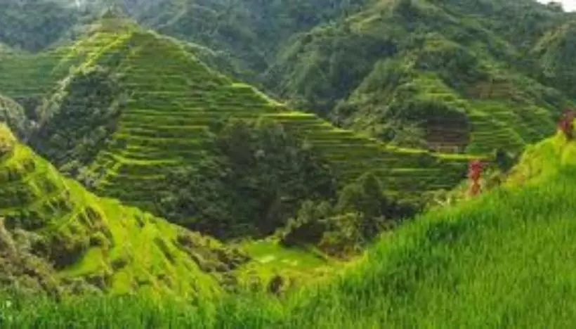 ベッドアンドブレックファースト Coree Bed And Free Breakfast And Ifugao Hospitality