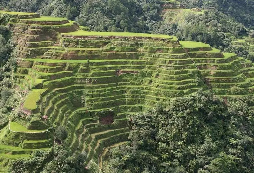 ベッドアンドブレックファースト Coree Bed And Free Breakfast And Ifugao Hospitality