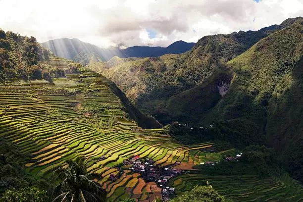ベッドアンドブレックファースト Coree Bed And Free Breakfast And Ifugao Hospitality