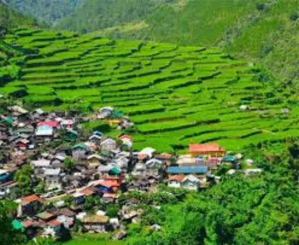 ベッドアンドブレックファースト Coree Bed And Free Breakfast And Ifugao Hospitality