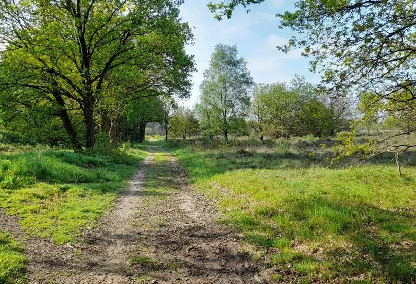 Bed And Breakfast De Kleine Vos