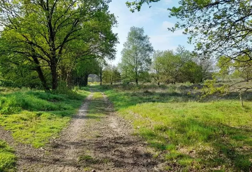 Bed And Breakfast De Kleine Vos