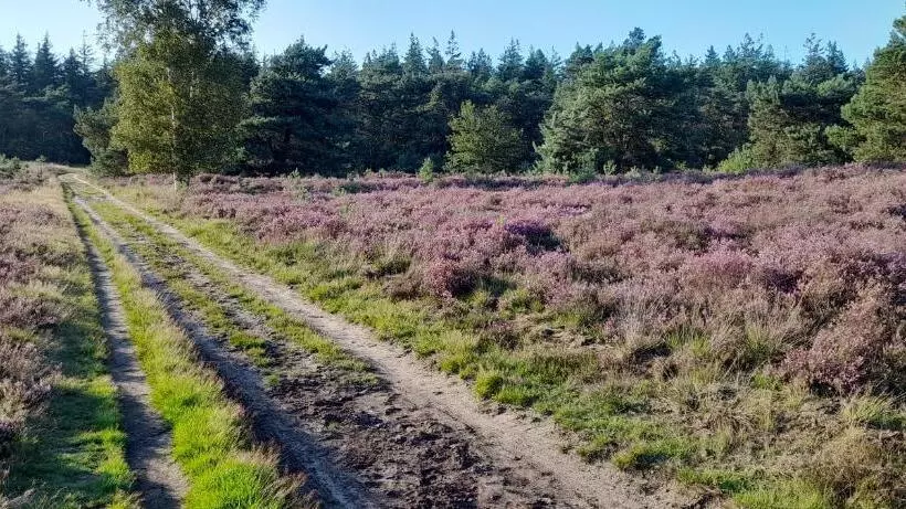 Bed And Breakfast De Kleine Vos