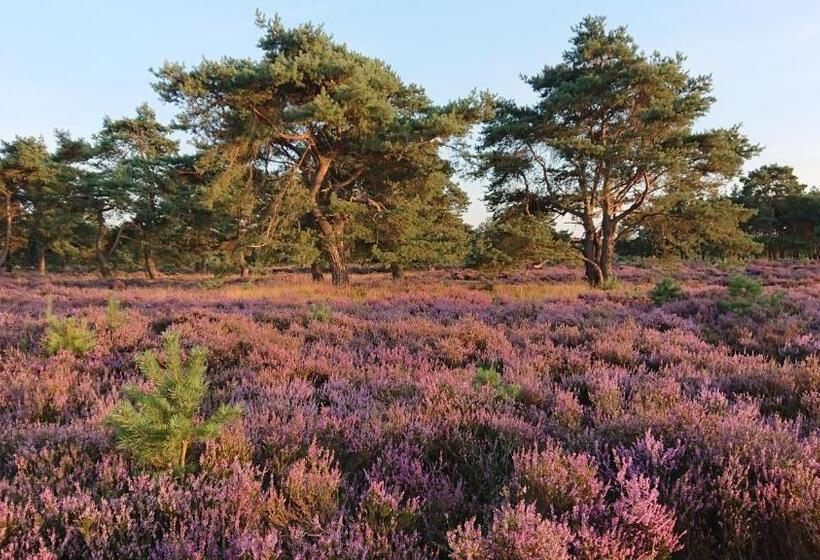 Bed And Breakfast De Kleine Vos