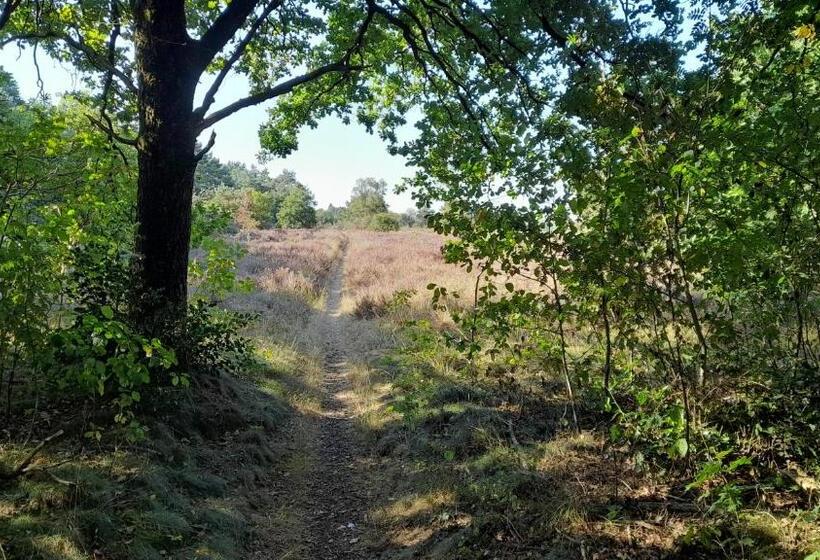 Bed And Breakfast De Kleine Vos