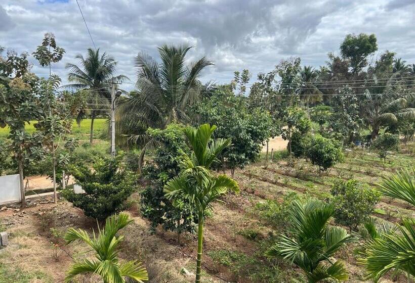 住宿加早餐  River House Farmstay