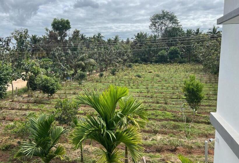 住宿加早餐  River House Farmstay