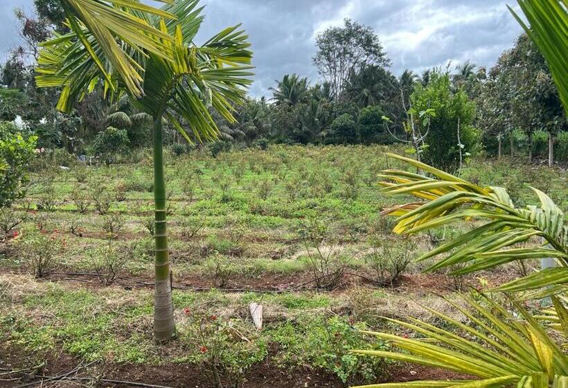 住宿加早餐  River House Farmstay