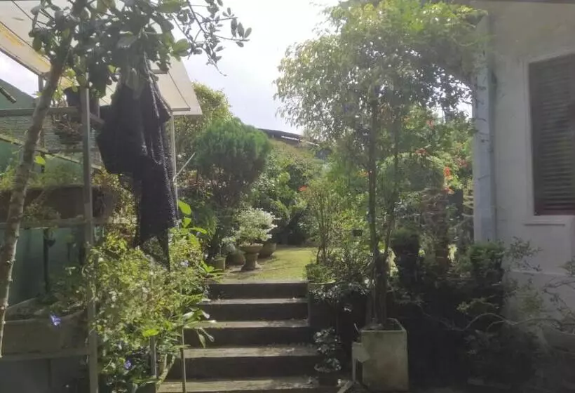 Blossoms Apartment 20 Min From Air Port