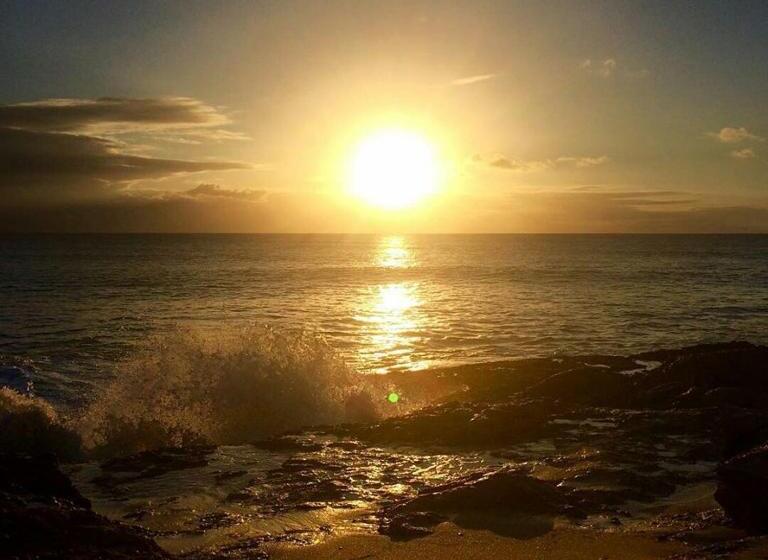 هتل کپسول Shrimpys Laundry ,hostel And Yacht Support