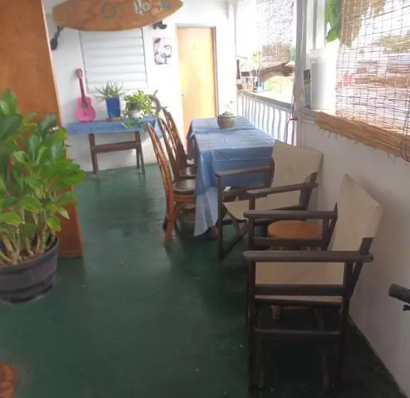 هتل کپسول Shrimpys Laundry ,hostel And Yacht Support