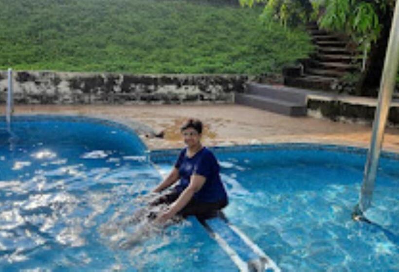 Отель Sunlit Farm Shirshinge