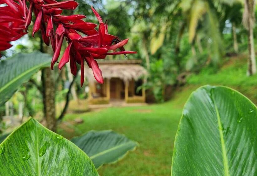 The Nature S Resort, Hanwella