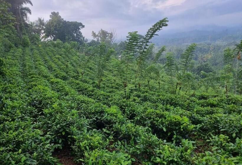 The Nature S Resort, Hanwella