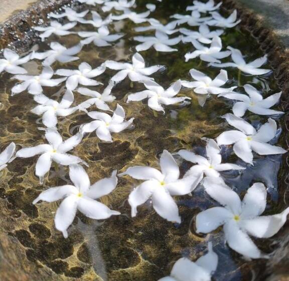 The Nature S Resort, Hanwella