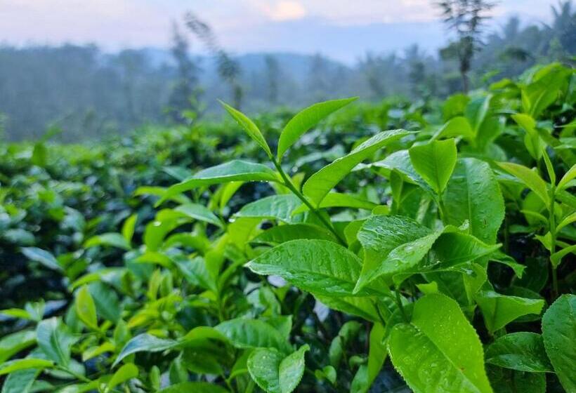 The Nature S Resort, Hanwella