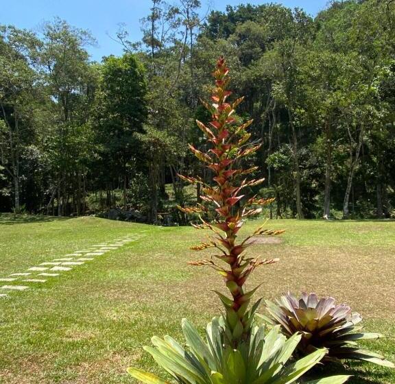 הוסטל Matha Pousada E Bistrô