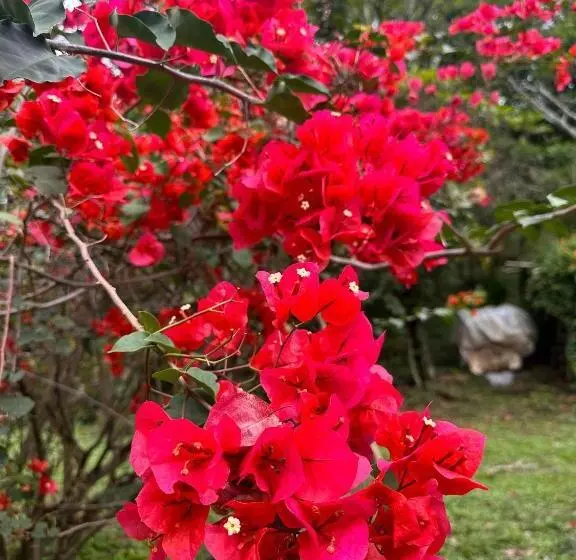 ホテル /finca Portal De La Ceiba