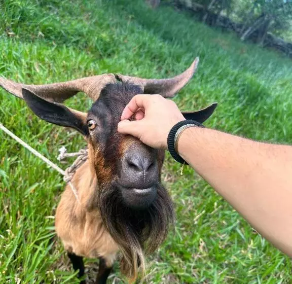ホテル /finca Portal De La Ceiba