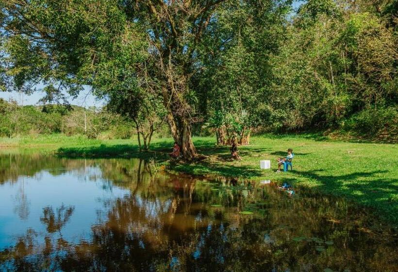 Отель Suítes Romanetto Com Piscina E Vista Antonina