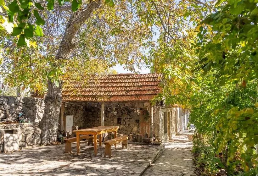ペンション Art Rooms Garni