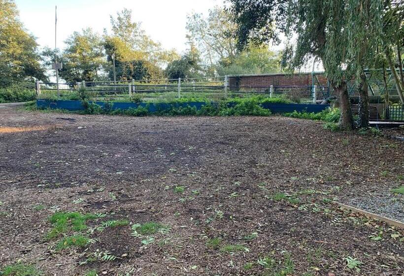 Пансион Broadwalk7